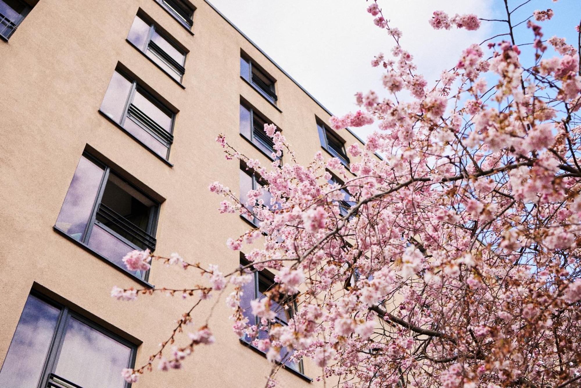 Hotel The George Hambourg